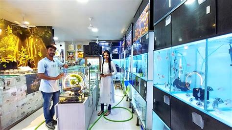 Most Beautifull Aquarium Fish Shop In Kurla Pooja Trader Aquarium