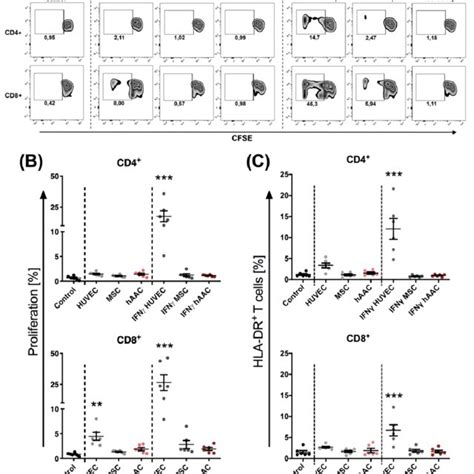 Representative Bright Field And Fluorescence Microscopy Images Reveal