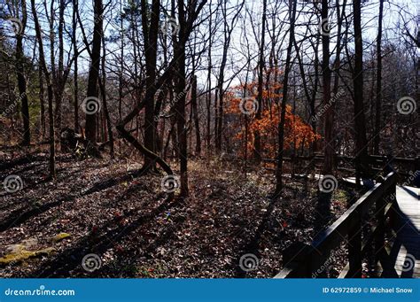 Fall Landscape in Missouri Park Along Nature Trail Stock Image - Image ...