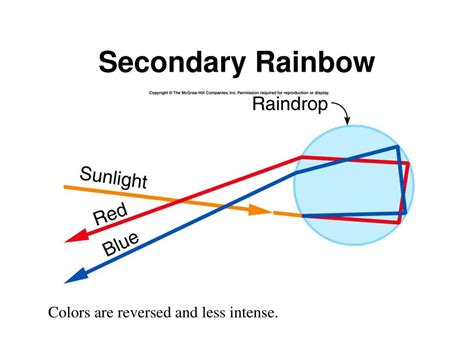 Ppt 264 Polarization And The Reflection And Refraction Of Light