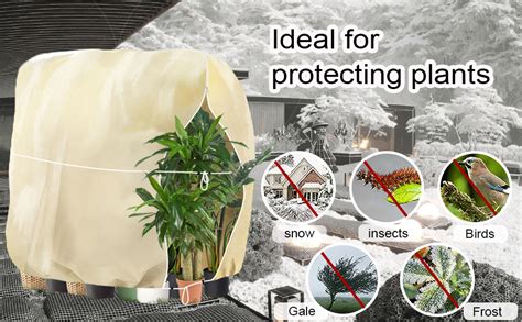 FFTANXS Voile D Hivernage 180 120cm Voile Hivernage Protection Plante