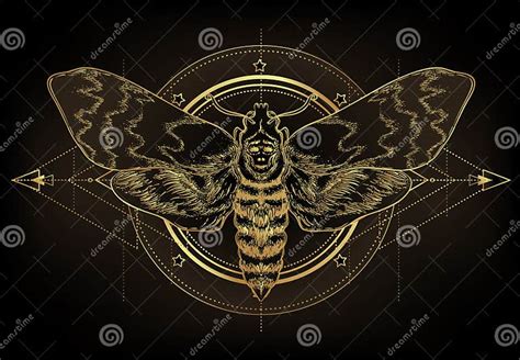 Golden Moth Over Sacred Geometry Sign Isolated Vector Illustration