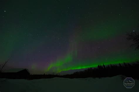 April 7th 2023 Client Photos Aurora In Alaska Photography