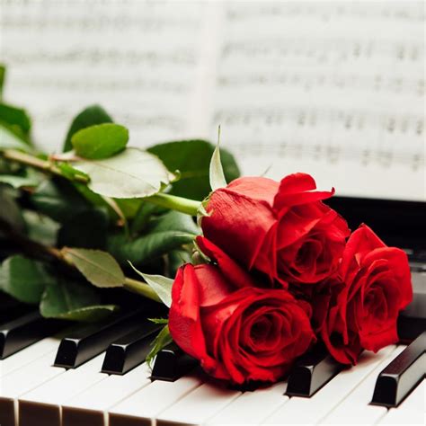 Download Red Roses and Piano Keyboard Wallpaper