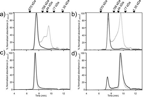 Size Exclusion Chromatography Sec Profiles Of Tsa1 Wt And Mutants In