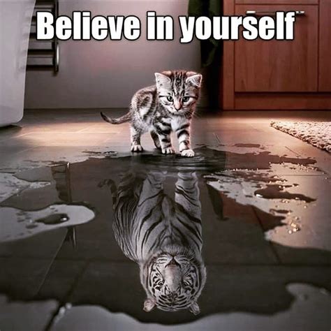 Believe In Yourself Pictures, Photos, and Images for Facebook, Tumblr ...