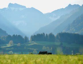 Südallgäu Oberstdorf Hindelang Kleinwalsertal mehr