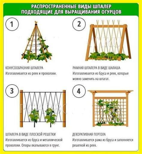 🥒 шпалера для огурцов: виды, варианты монтажа, способы подвязки