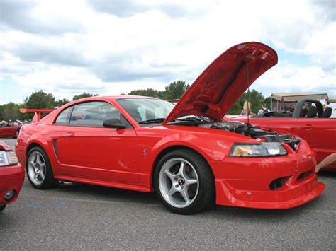 File:Ford Mustang SVT Cobra.jpg - Wikipedia