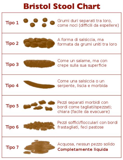 Colore Delle Feci Ecco Cosa Significa E Cosa Fare Per Migliorarlo