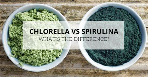 Chlorella Vs Spirulina Whats The Difference Vitarock Blog