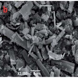 Sem Micrographs Of The Zn Mofs Which Were Prepared In The Ionic Liquid