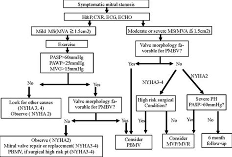 Indications for Percutaneous Mitral Balloon Valvuloplasty [8] | Download Scientific Diagram