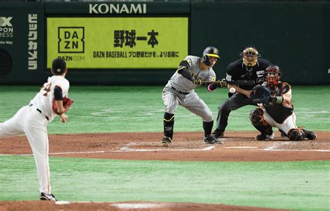 【虎になれ】佐藤輝明に犠打のサイン出すか そらそうよ岡田彰布監督の期待明白 一発狙う場面 虎だ虎だ虎になれ！ 野球コラム写真ニュース 日刊スポーツ