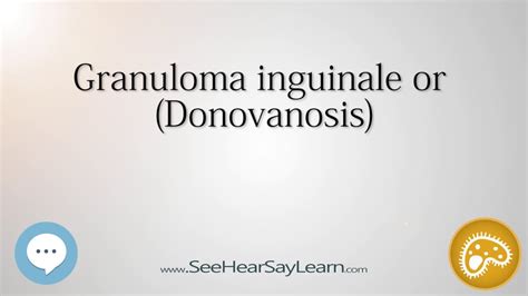 Granuloma Inguinale Or Donovanosis 🔊 Youtube