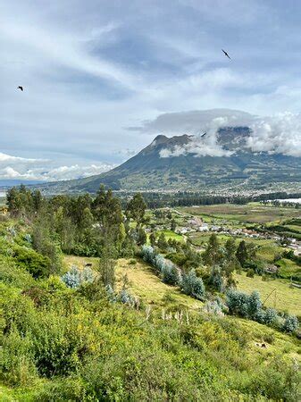 WALK FOR TIPS ECUADOR Quito 2022 Qué saber antes de ir Lo más