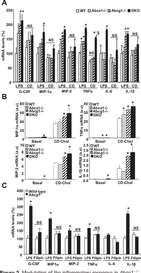 Figure From Increased Inflammatory Gene Expression In Abc Transporter