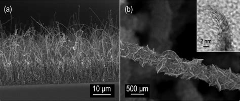 6 Plan View SEM Micrograph Of Graphenated CNTs And B Higher