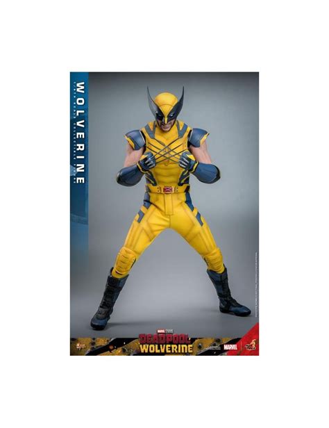 Hot Toys Movie Masterpiece Deadpool Wolverine Wolverine 1 6 Scale Collectible Figure Set