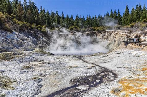 Hell S Gate Geothermal Park Tikitere Rotorua North Island New