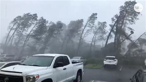 Category 4 Hurricane Michael makes landfall in Florida