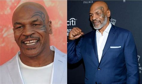 Laila Ali Net Worth 2025: How the Boxing Champion Built Her $10 Million ...