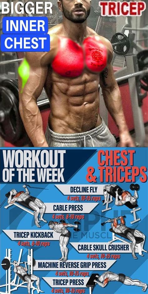 Strength Training Bible Your Guide To Getting Stronger Inner Chest