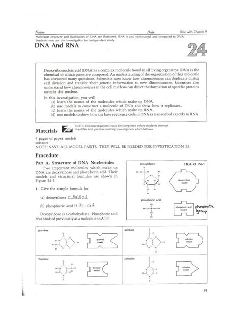 Pdf Dna And Rna Model Building Lab Dokumen Tips