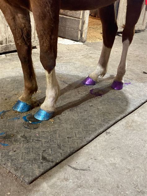 Fancy Feet hoof polish | Customized glitter nail polish for horses ...