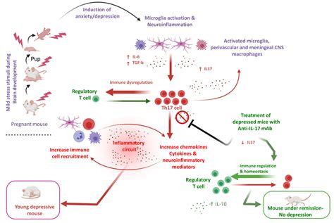 Frontiers Depression And Obesity In Patients With Psoriasis And