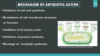 Antibiotic Resistance Food Borne Diseases Ppt