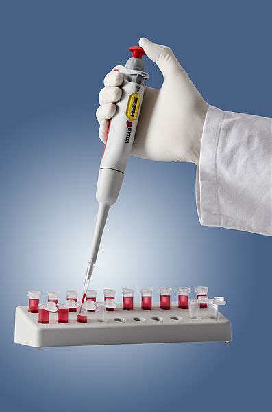 Richtig Pipettieren N Tzl Tipps F R Optimales Pipettieren