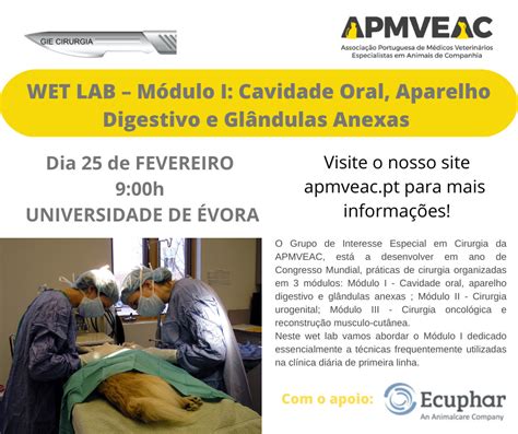 Wet Lab M Dulo I Cavidade Oral Aparelho Digestivo E Gl Ndulas