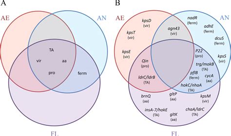 Venn Diagrams Of The Distributions Of A Categories Ta Ta Systems