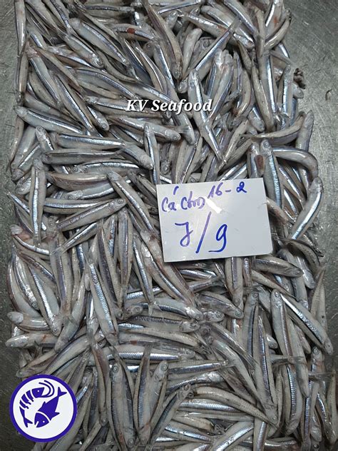 Anchovy — Khoi Viet Seafood