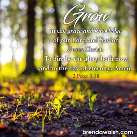 Spiritual Growth Brenda Walsh Scripture Images