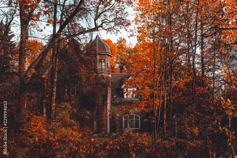 Manor House With Trees In Autumn Colors And Fall Trees Old Victorian