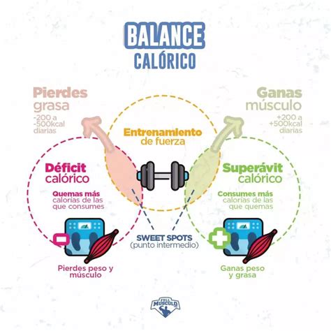 Si No Estás Comiendo Estos 21 Alimentos No Aumentas De Masa Muscular