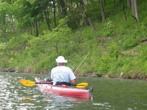 Fish Missouri Cuiver River Sp Lake Lincoln Lincoln County Mo