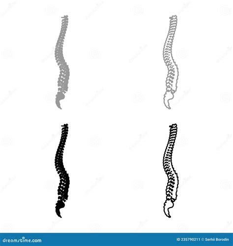 Spinal Vertebral Column Spine Backbone Icon White Color Vector