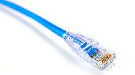 cat  patch cable wiring diagram wiring draw  schematic