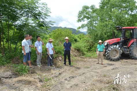 太平镇：党建引领治撂荒 人大代表显担当 土地 耕地 工作