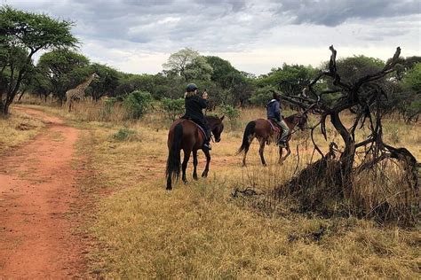 Horseback Safari and Cable Car Tour from Johannesburg