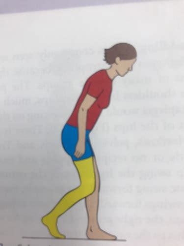 Biomechanics Posture And Gait Flashcards Quizlet