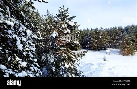 Winter siberia Stock Videos & Footage - HD and 4K Video Clips - Alamy