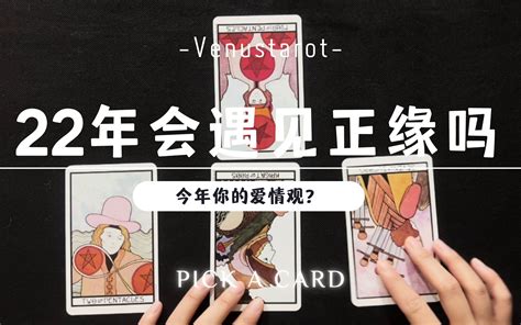 【venus塔罗】2022年会遇见正缘吗？哔哩哔哩bilibili