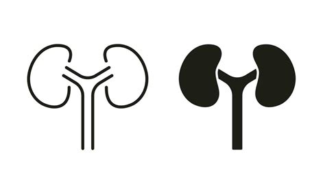 Human Kidney Line And Silhouette Icon Set Kidneys Urology Disease