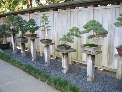 Bonsai At The Huntington Library Botanical Gardens In California My