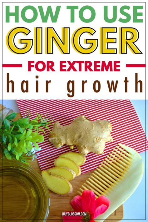 How To Use Ginger For Hair Growth And Dandruff Diy Scalp Hair