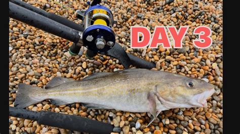 Chesil Beach Fishing Cod And Conger Challenge Day 3 With Catch And Cook